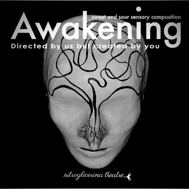 Awakening promo 1.JPG
